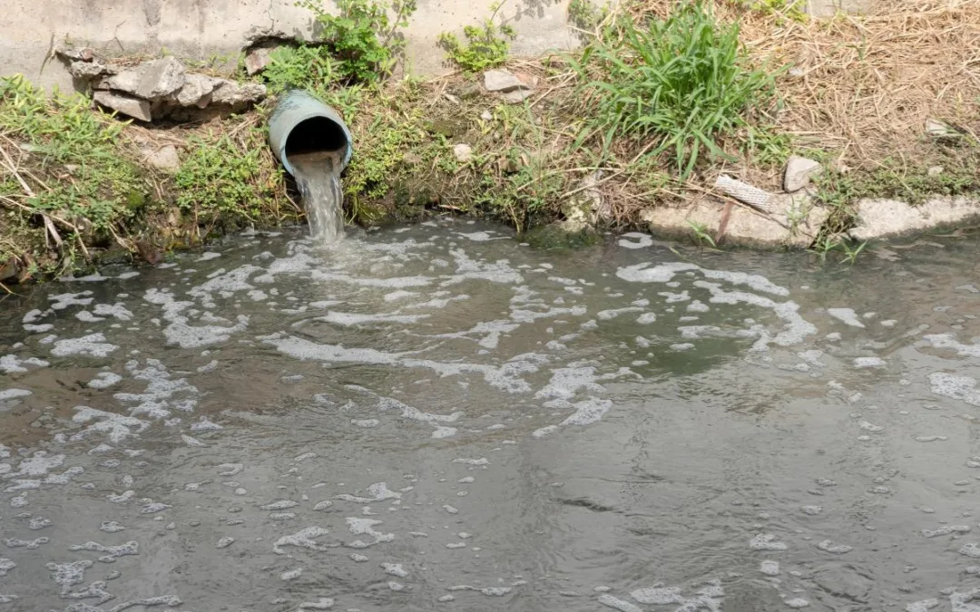 7 Elements Your Storm Water Pollution Prevention Plan Needs